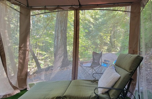 Guerneville Cabin | 2 Rms. Silent Redwoods. Pet OK