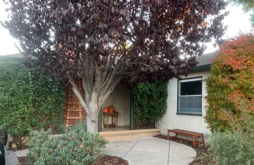 San Jose House | 3 bdrm, 2 Bath, Close to SJC, Pool, Hot Tub & Sauna