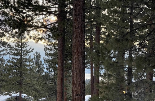 South Lake Tahoe Ski Chalet | 3338 pine hill road