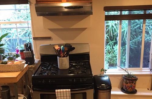 Outer Sunset Apartment | 90 Day+ Stay, Traveling Nurses & Execs welcome! W/D, Dish, Yard,