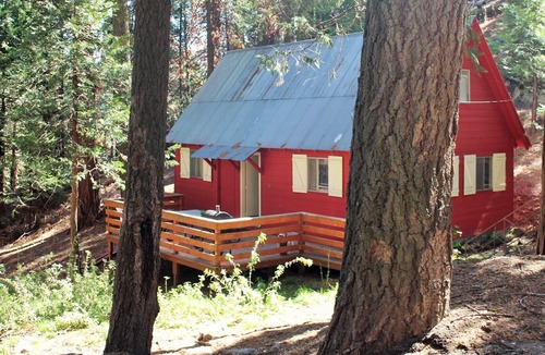 Alta Sierra Cabin | Affordable, Cozy and rustic Cabin in the Sequoia Nat'l Forest.