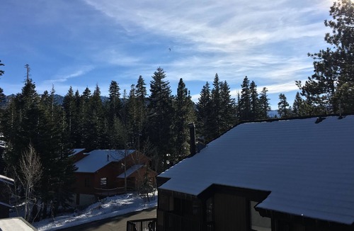 Majestic Pines Apartment | Affordable Luxury! WiFi/Parking/View and Great Location!