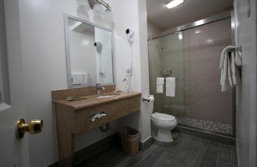 Cow Hollow Hotel | Alpha Inn and Suites