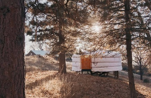 Dunlap RV Rental | Amazing Yurt on a Secluded Nature Retreat for an Unforgettable Escape in Nature in Dunlap, California