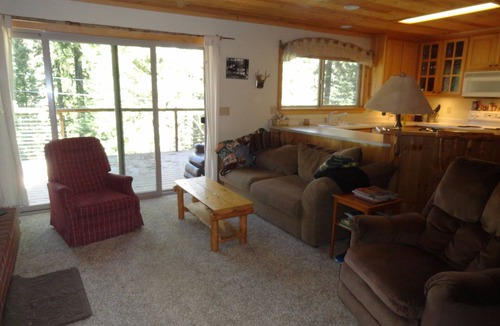 Strawberry Cabin | Beautiful Cabin with Wi-Fi Overlooking Stanislaus River - Strawberry, CA