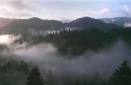 Lagunitas-Forest Knolls Cabin | Beautiful End of the Road Cabin on Top of Ridge - Pet Friendly
