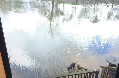 Lockeford House | Beautiful riverfront, family friendly home minutes from Lodi - no pets/smoking