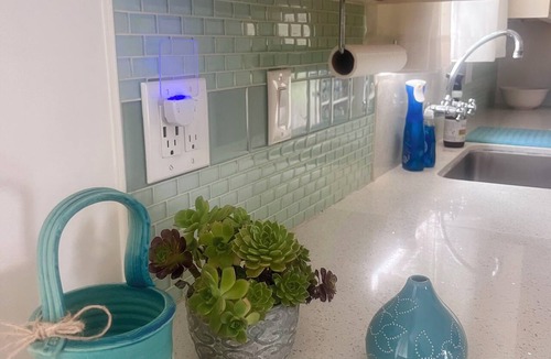 Soquel House | Beautiful Sunny Garden Cottage