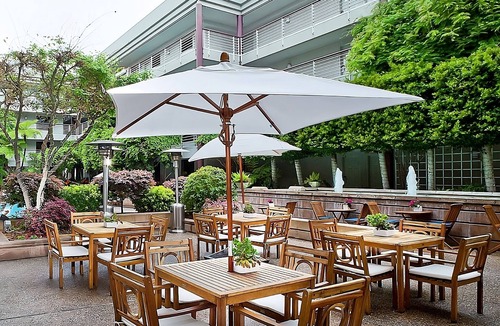 Cupertino Hotel | Best Value Silicon Valley Stay | 2 Pet-Friendly Units | Pool Access