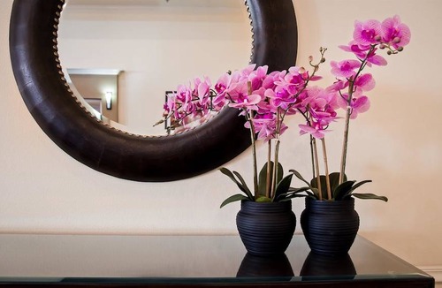 Salinas Hotel | Best Western Plus Salinas Valley Inn & Suites