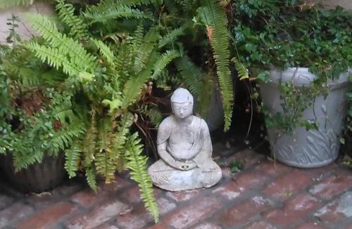 Old Towne House | "California Dreamin'