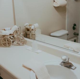 Carson City Hotel | Carson City Plaza Hotel
