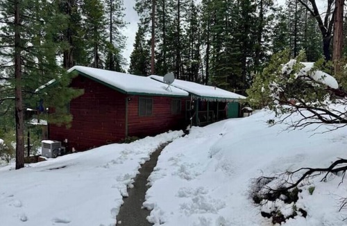 Croft Cabin | Casa Luna swim spa in the woods