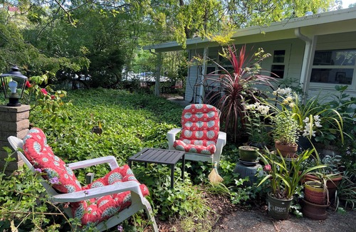 Monterey Ter House | Charming 3-bedroom house in Orinda with AC, fruit trees, piano
