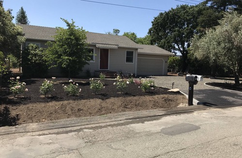 Sonoma House | Charming Country Cottage walk to Plaza Gas Fire Pit & Bocce & 4 Cruiser Bikes