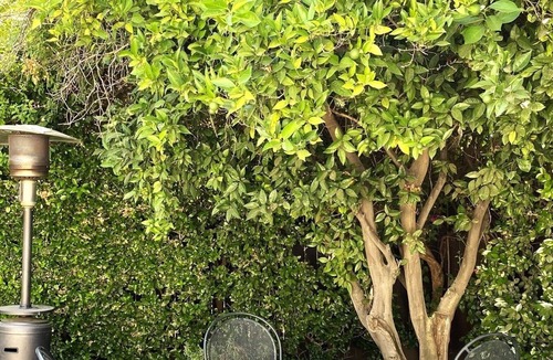 Granada Hills South House | Charming Granada Hills Apartment in Great Neighborhood