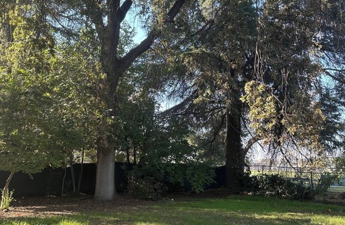 Visalia House | Clean, Comfortable & Quiet House in Visalia