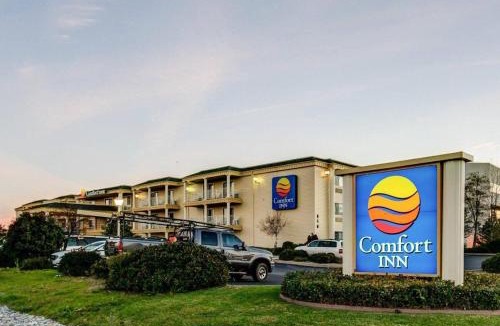 Redding Hotel | Comfort Inn Redding Near I-5