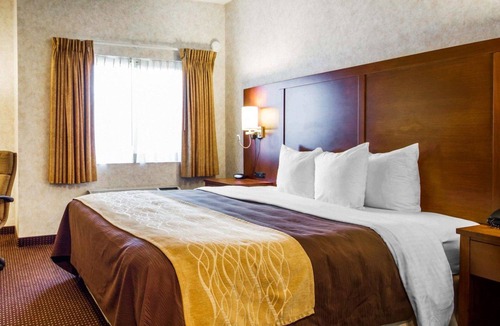 Las Lomas Hotel | Comfort Inn Watsonville