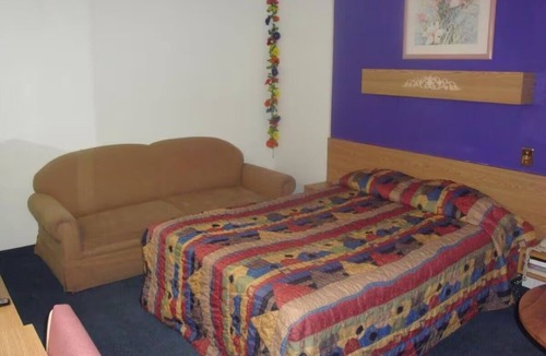 Lake Havasu City Hotel | Comfortable Pet-Friendly Room + Enjoy Relaxation Minutes from London Bridge
