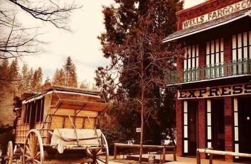 Sierra Village House | Compass EAST! A Boho Bungalow Fast Wi-Fi A/C