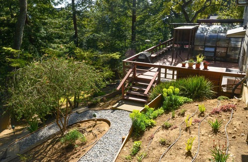 Shepherd Canyon House | Cosy 1950 newly restored home in the woods
