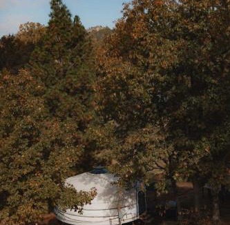 Dunlap House | Cosy yurt at a nature retreat in Dunlap CA