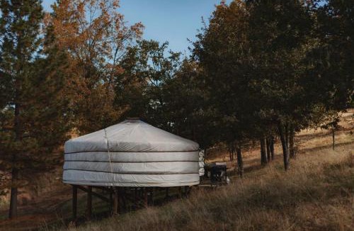 Dunlap House | Cosy yurt at a nature retreat in CA