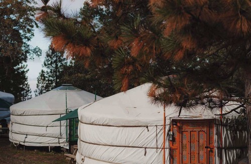 Dunlap House | Cosy yurt at a nature retreat
