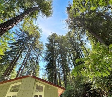 Sebastopol House | Cozy cabin deep in the redwoods with WiFi and Hot Tub