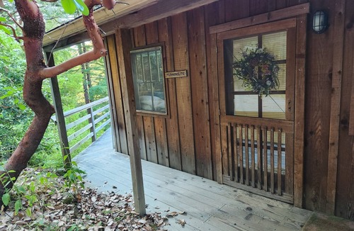 Carmel Cabin | Cozy cabin retreat nestled in the redwoods, in Big Surn