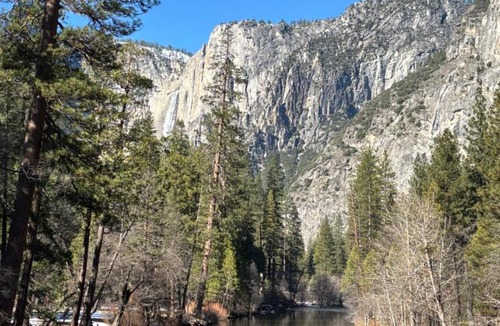 Mariposa House | Cozy Cub Cabin, brand new home near Yosemite