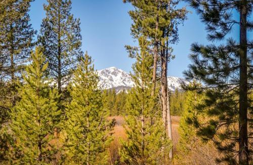 Black Bart House | Cozy Seclusion