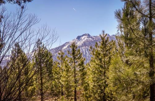 Black Bart House | Cozy Seclusion