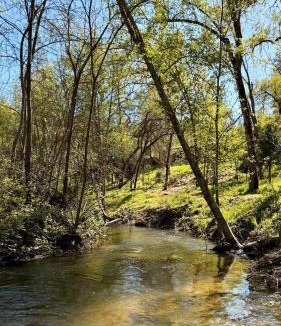 North Fork House | Creekside Hummingbird Haven Yosemite Bass Lake