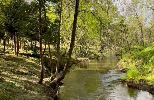 North Fork House | Creekside Quail Landing Near Yosemite & Bass Lake