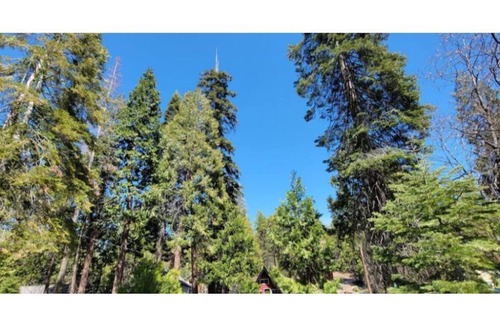 West Village Cabin | Eagles Nest
