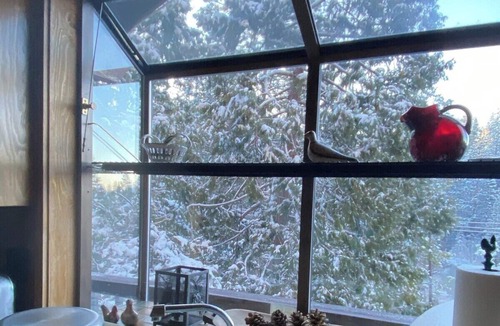 Mi-Wuk Village Ski Chalet | Epic stargazing at the Treehouse Chalet