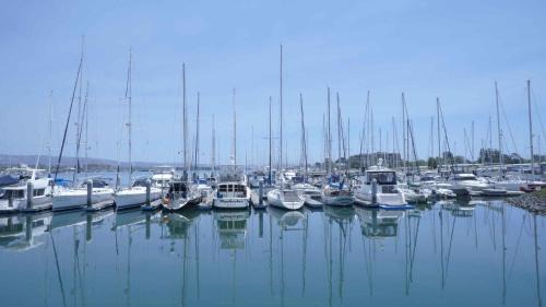 Oakland Hotel | Extended Stay America Premier Suites - Oakland - Alameda