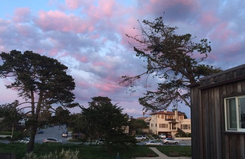 Westside Santa Cruz Cottage | Fabulous Monterey Bay Views