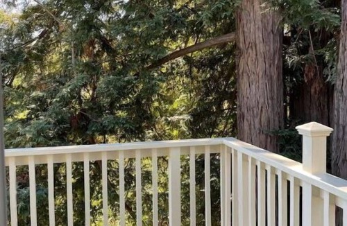 Boulder Creek Cabin | Family Retreat near South Bay and Santa Cruz Beach