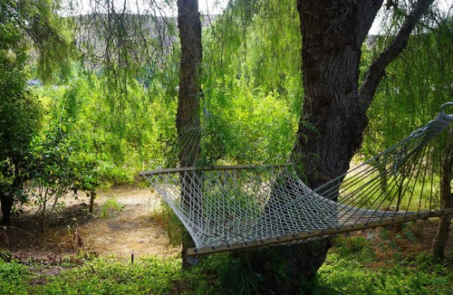 Somis Other | Farmhouse in 20acre Organic Lemon Grove - Pick Lemons - Kid-friendly - Pets OK!