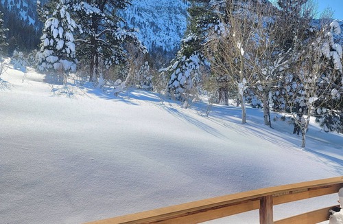 June Lake Cabin | Four Seasons Cabin 1 with enchanting forest views