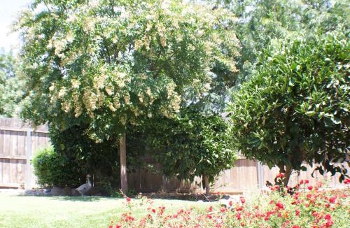 Exeter Villa | Gateway Retreat: Short Drive to the Sequoias