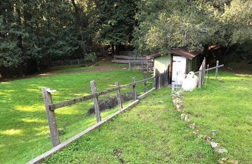 Los Gatos RV Rental | Glamping Tent Large at Enchanted Forest Retreat