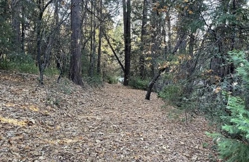 Phoenix Lake-Cedar Ridge House | Gold Rush Historic Location with Luxurious Recreational Vehicle with Porch