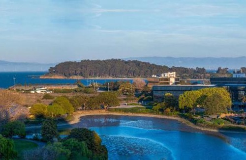 Burlingame Hotel | Hilton San Francisco Airport Bayfront - No Resort Fee