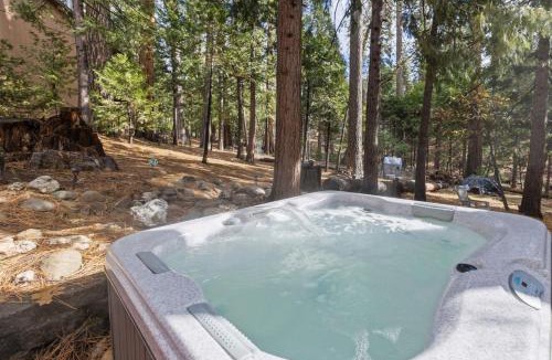 Twain Harte House | HotTub PingPong Arcade Billiard Pets AC Piano BBQ Art SharpCat