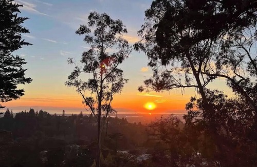 Piedmont Pines House | Huge 5 bedroom 3 bath Sweeping Bay Views Home Nestled in Oakland Hills.