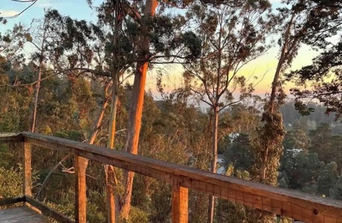 Piedmont Pines House | Huge 5 bedroom 3 bath Sweeping Bay Views Home Nestled in Oakland Hills.